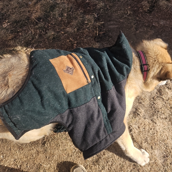 Assortment Of Large Breed Dog Coats And Pyjamas - Picture 11 of 15